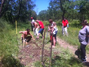 Plantation ICitrouille 21 mai 2016 (7)