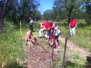 Plantation ICitrouille 21 mai 2016 (8)